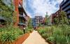 Courtyard with blooming plant beds and a pathway surrounded by residential buildings